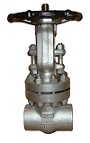 carbon steel gate valve 2500 lbs sw