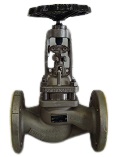 globe valve