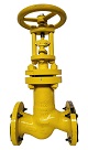 chlor globe valve