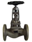 globe valve with bellow seal