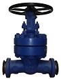 gate valve 1500 lbs bw