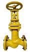 chlor globe valve DN 20 PN 40