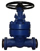 gate valve 1500 lbs bw