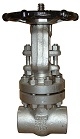 carbon steel gate valve 1 2500 lbs sw