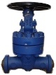 gate valve 900 lbs bw